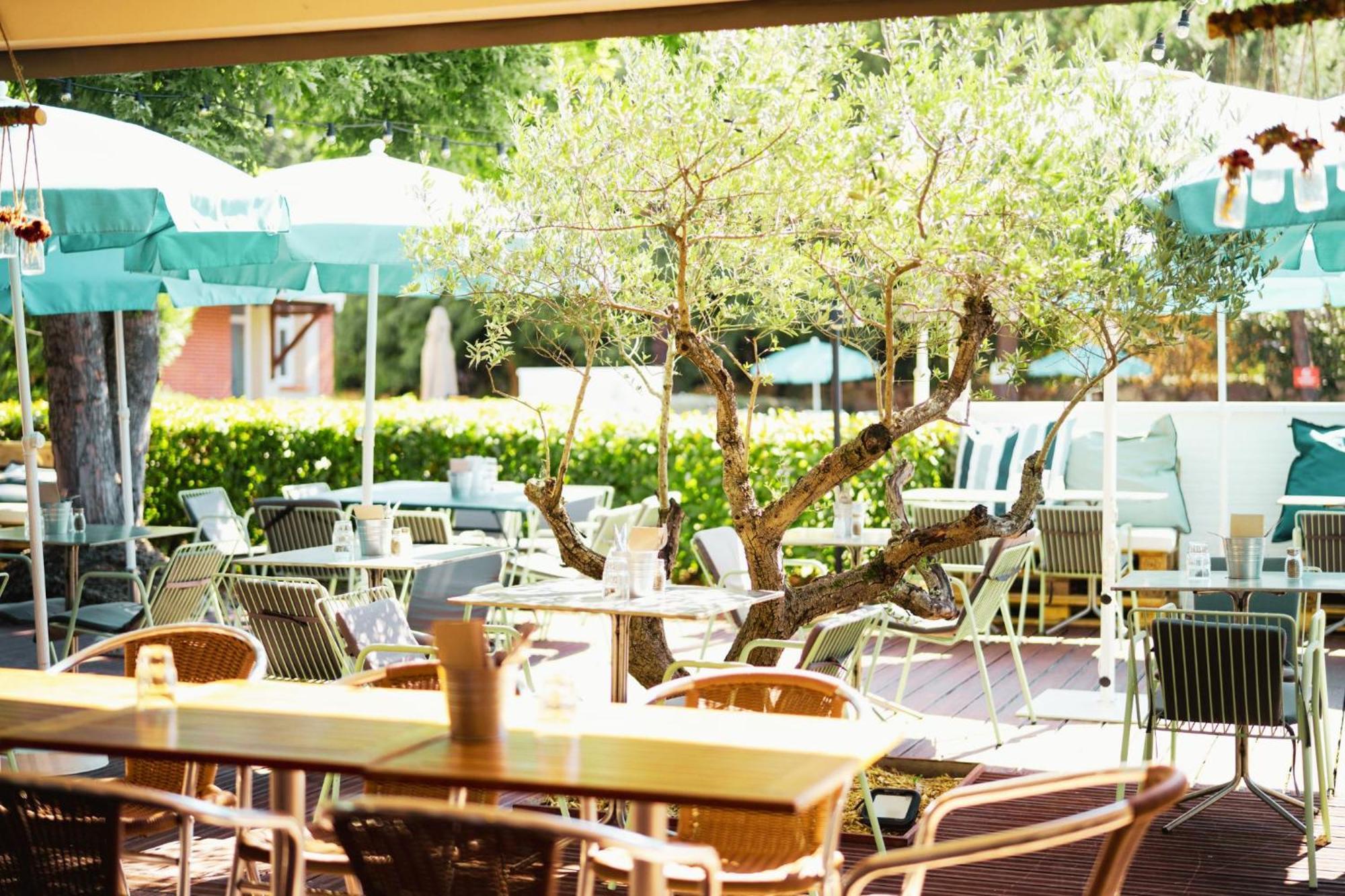 Sporting House Hôtel Toulouse Ngoại thất bức ảnh